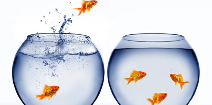8 Ways Scaling Companies Compete for Hires Without Overspending