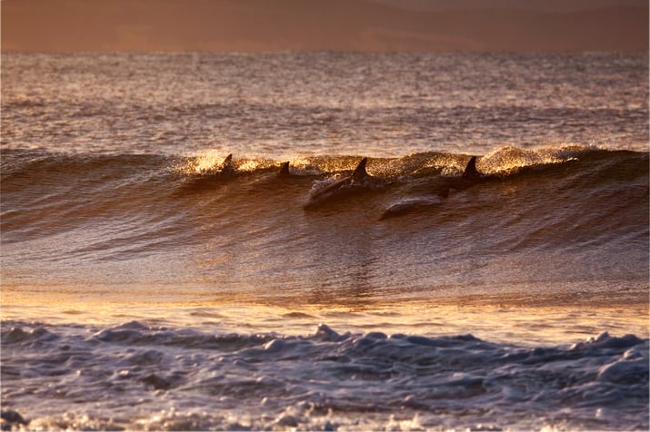 The Future of Business is Impact-Focused: 6 Ways Your Company Can Join the Movement