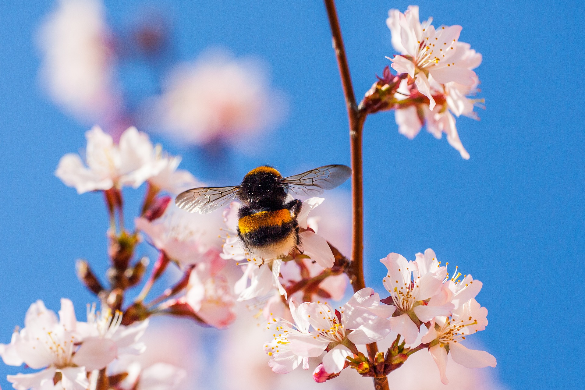 Small Companies Create Big Changes for Planet + People